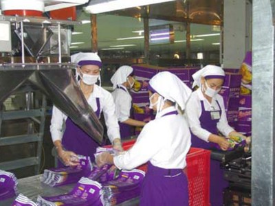 Vinamit “chuyển hướng” làm gia công